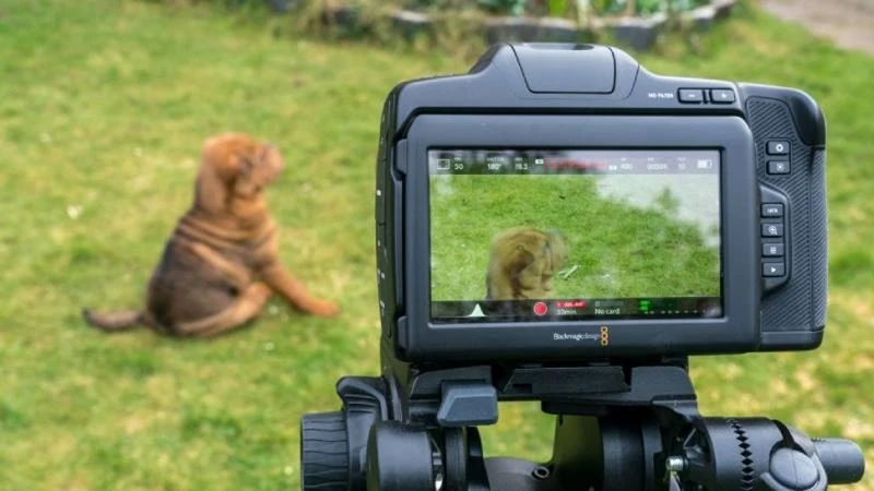 Camera điện ảnh Blackmagic 6K Pro hỗ trợ quay 6K RAW 