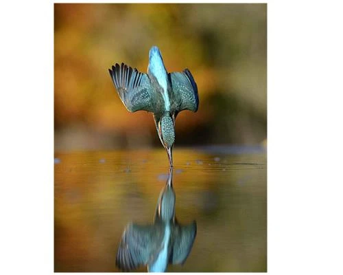 Những điều cần biết về môn nhiếp ảnh (Phần I)