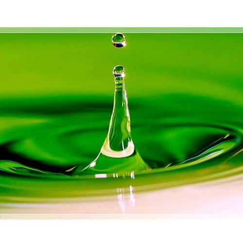 Những chú ý khi chụp macro