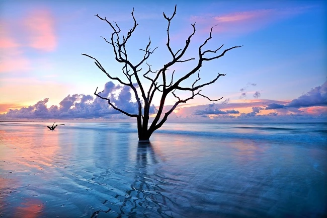 15 thể loại nhiếp ảnh bạn cần biết qua (phần I)