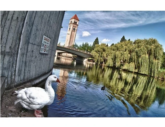 Ống Kính Canon EF 8-15mm f/4L – rộng tới mức không thể rộng hơn