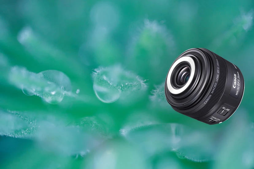 Ống kính Canon EF-S35mm F2.8 Macro IS STM