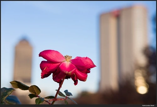 Ống Kính Fujifilm (Fujinon) XF 35mm F2 R WR (Bạc)