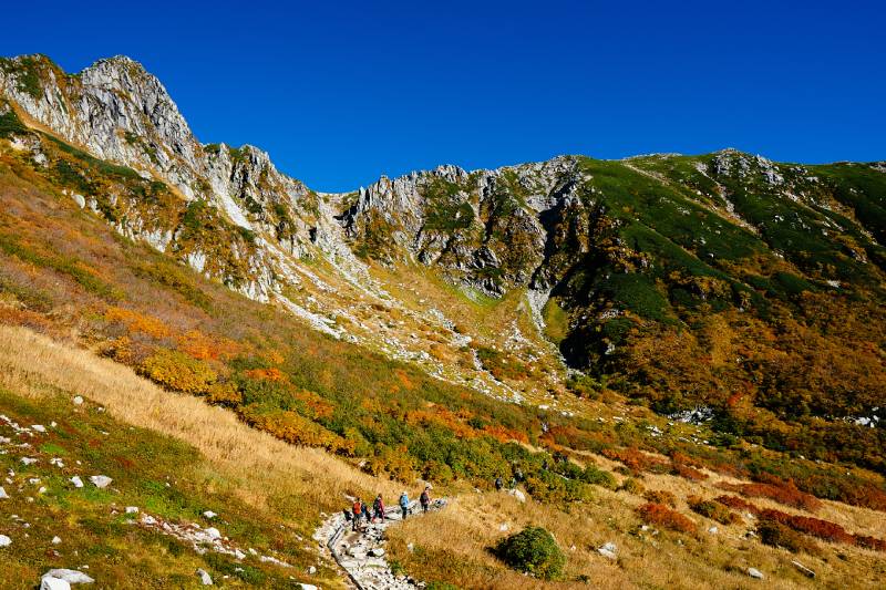 Ống Kính Sigma 16mm F1.4 DC DN Contemporary Cho Micro Four Third