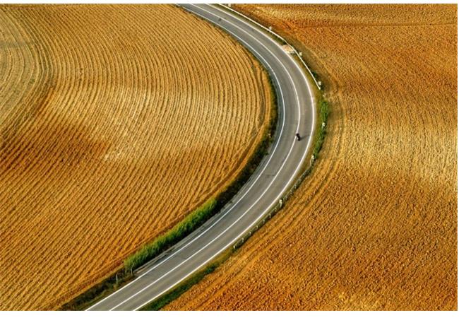 Ống Kính Sigma 24-70mm F2.8 DG OS HSM Art For Nikon (Nhập Khẩu)