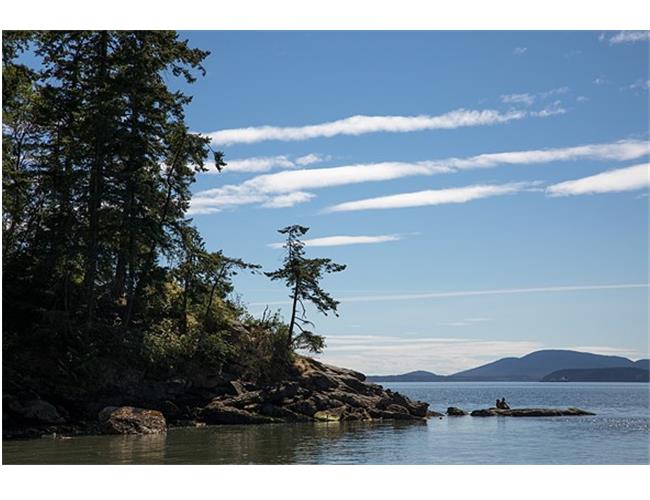 Ống kính Sigma 24-70mm F2.8 DG OS HSM Art for Nikon