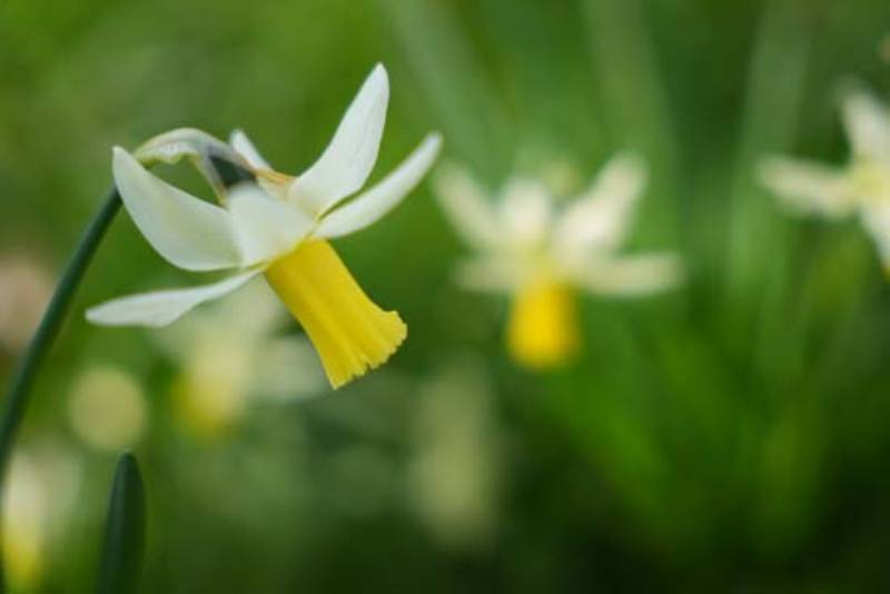 Ống Kính Sigma 28-70mm F2.8 DG DN (C) E-Mount