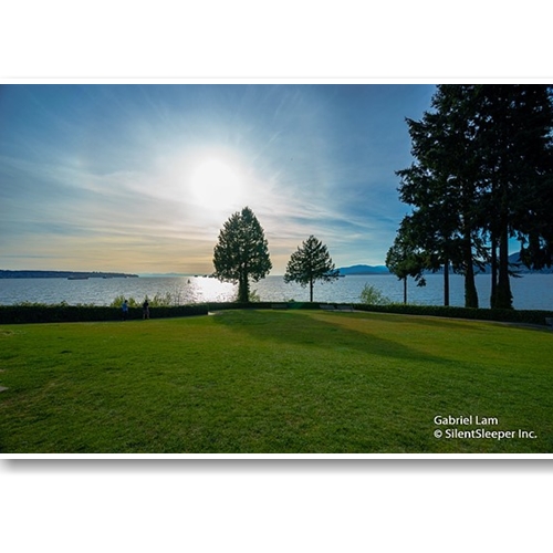 Ống Kính Sony FE 16-35mm F4 ZA OSS (SEL1635Z)