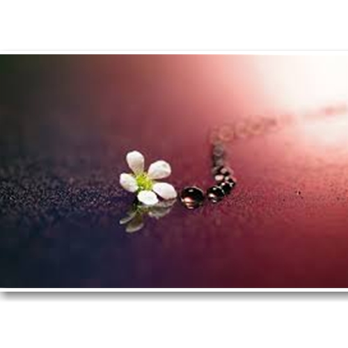 Ống Kính Sony FE 90mm F2.8 Macro G OSS (SEL90M28G)