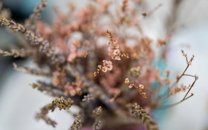 Ống Kính Sony G Master FE 35mm F1.4/ SEL35F14GM