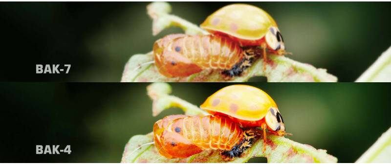 Ống Nhòm K&F 10 x 42 HD BAK4 