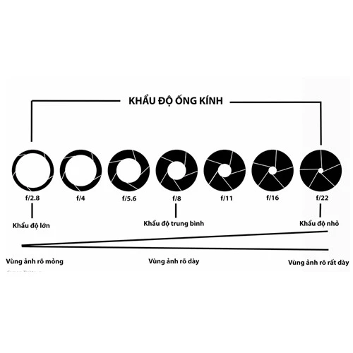 Tầm quan trọng của ánh sáng trong nhiếp ảnh