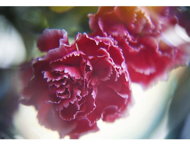 Tạo hiệu ứng ảnh lung linh với kính lúp