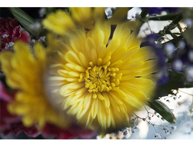 Tạo hiệu ứng ảnh lung linh với kính lúp