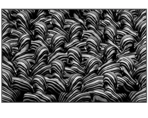 Tạo điểm nhấn cho ảnh đen trắng với máy ảnh chuyên nghiệp