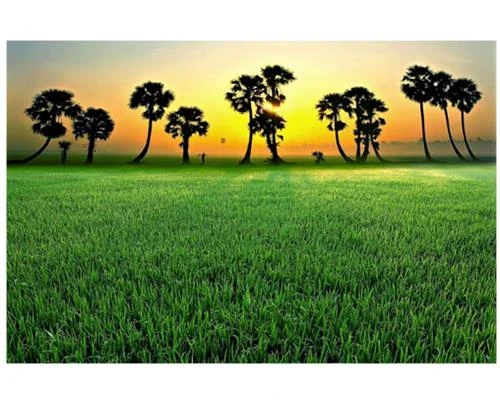 Thiên nhiên tươi đẹp từ máy ảnh Nikon