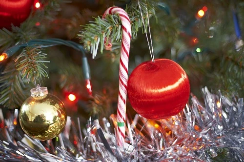 5 lý do để ống kính fix 50 mm là lựa chọn đầu tiên của bạn