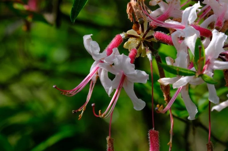 Hình ảnh sắc nét & chi tiết nhờ cấu tạo quang học tinh tế