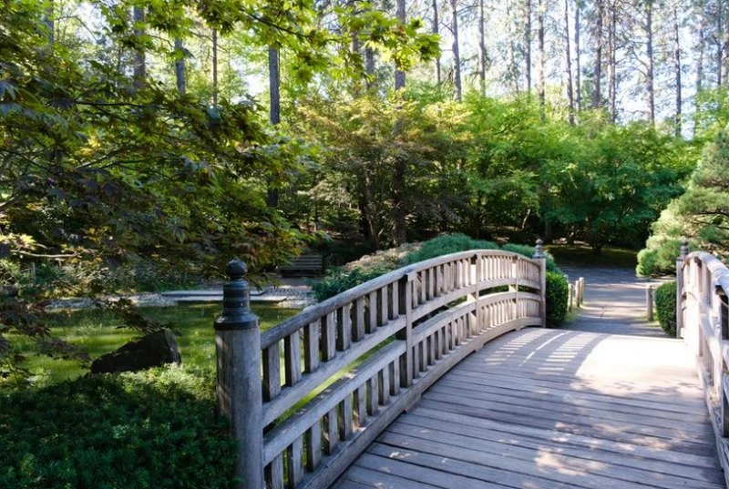 Khả năng autofocus siêu tốc, êm ái