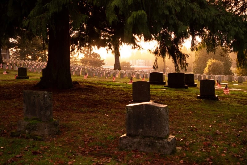 AF nhanh chóng, êm ái cho mọi cảnh