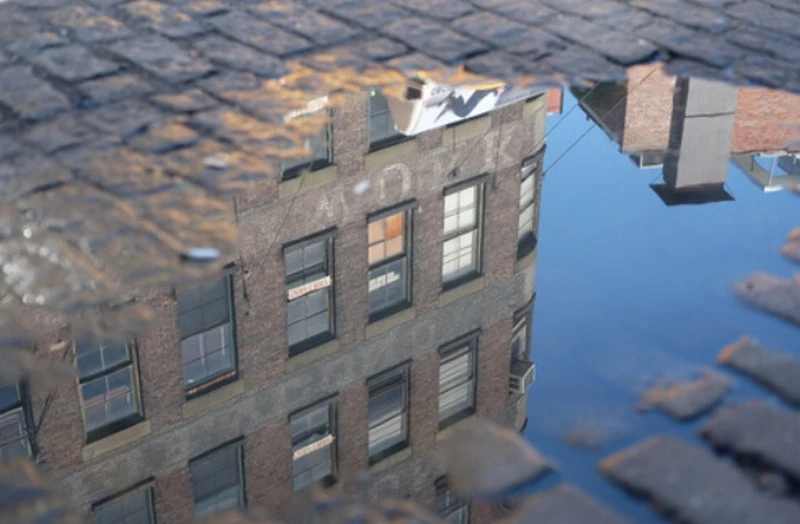 Cơ chế lấy nét mượt mà, tốc độ cao và yên tĩnh