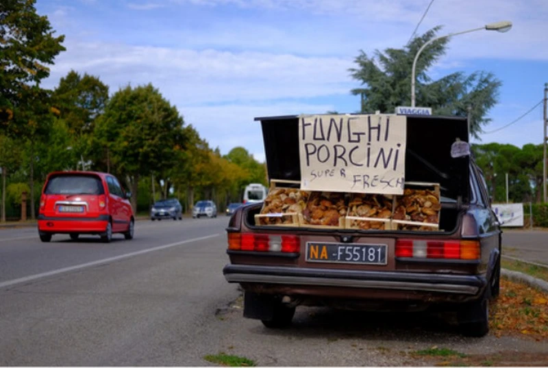 Hiệu quả quang học tối ưu, mang lại hình ảnh chất lượng cao