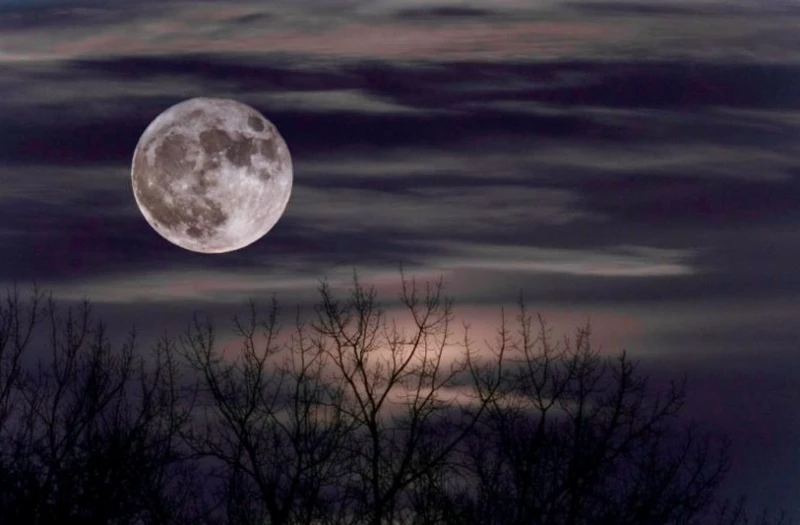 Triple Linear Motor giúp autofocus nhanh và mượt mà