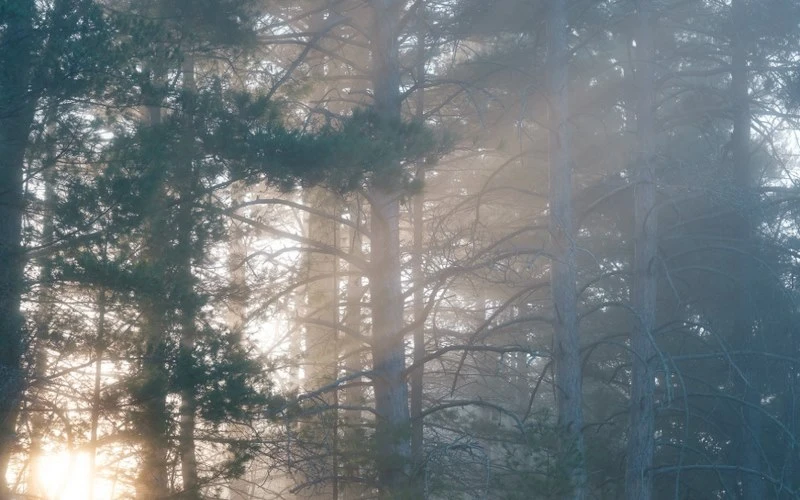 Thiết kế bền bỉ, chống mưa và bụi cho nhiếp ảnh ngoài trời